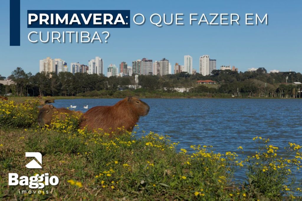 Primavera: O que fazer em Curitiba?